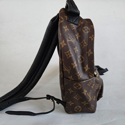 Louis Vuitton Monogram Palm Spring PM Backbag