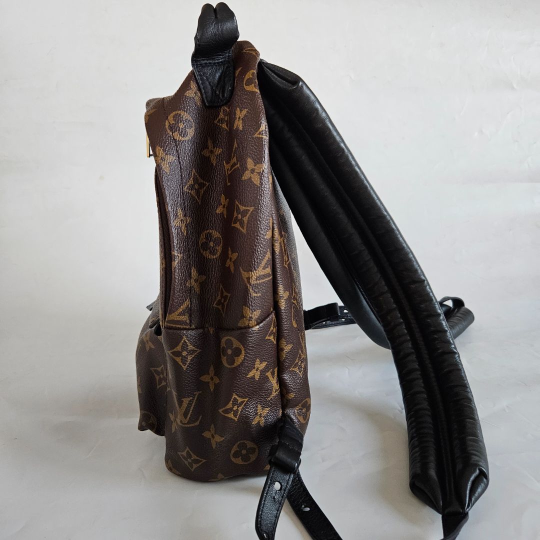 Louis Vuitton Monogram Palm Spring PM Backbag