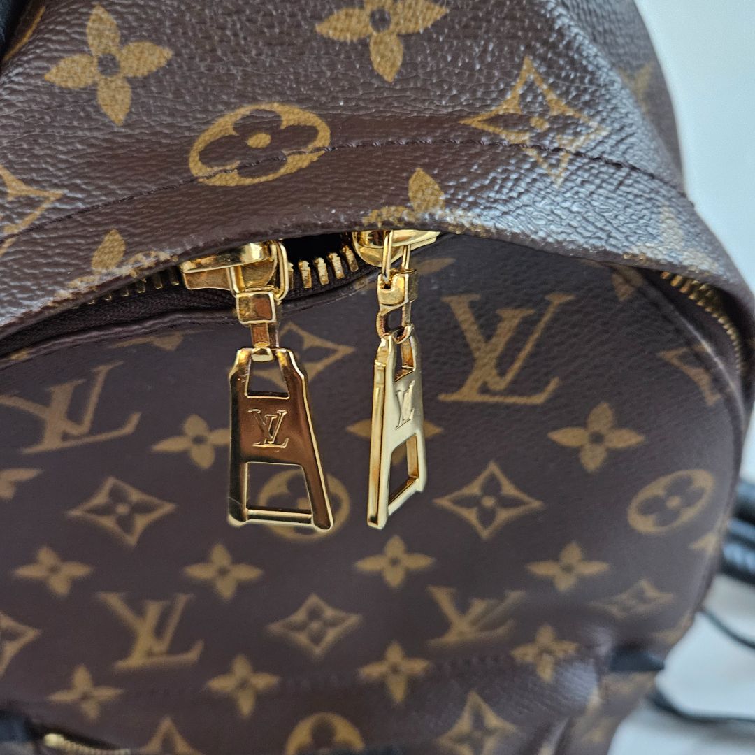 Louis Vuitton Monogram Palm Spring PM Backbag