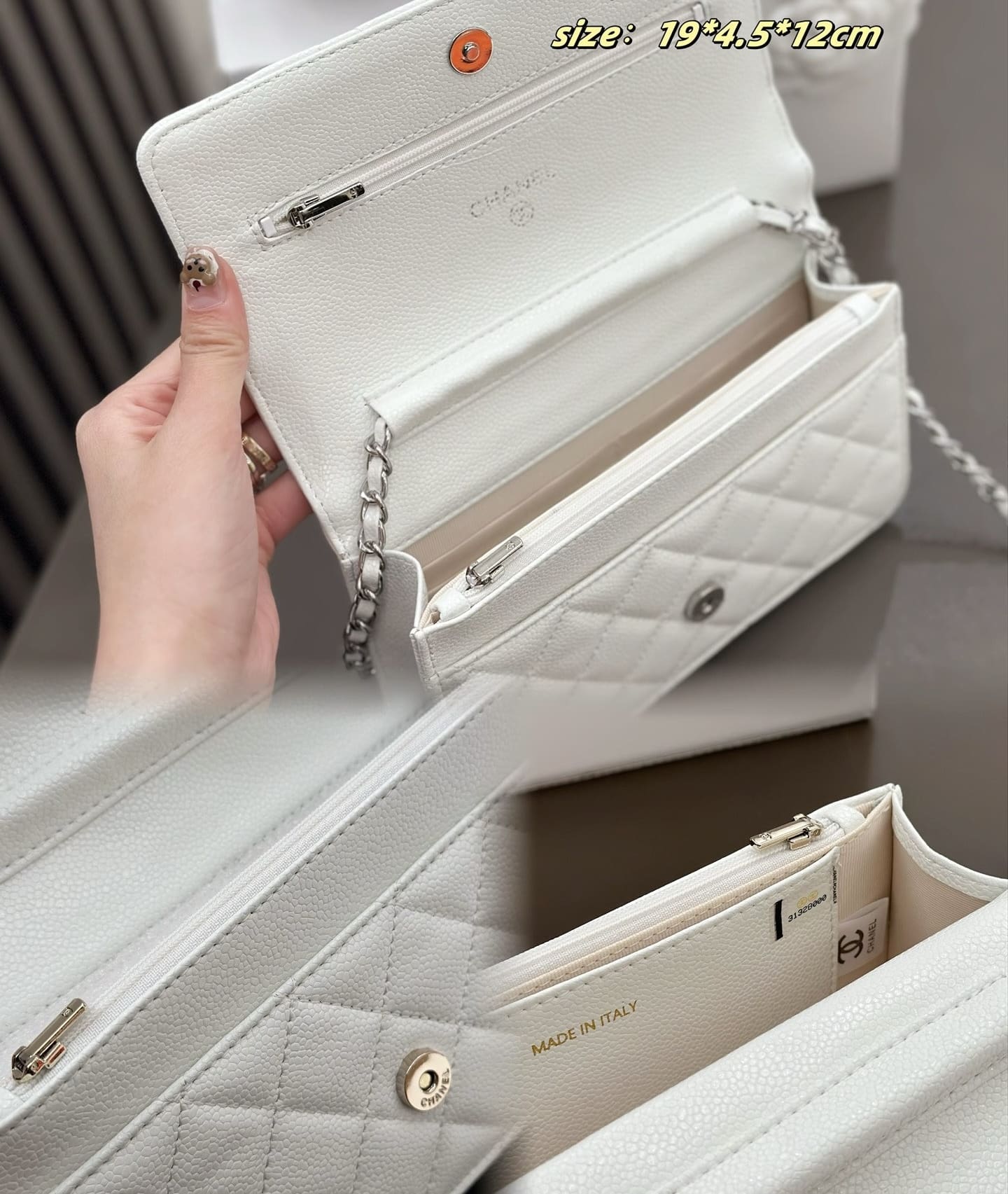 CHANEL Wallet On Chain AP0250