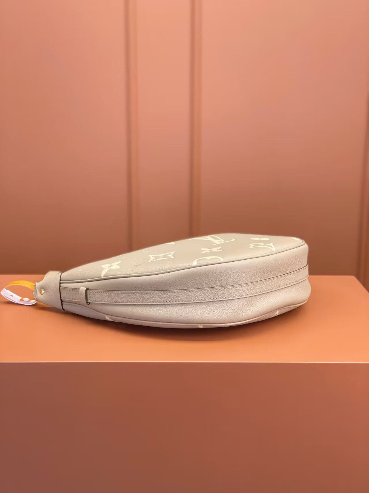 Louis Vuitton Loop Hobo M46738