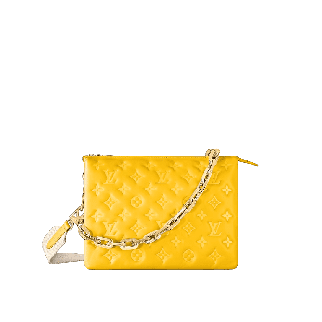 Louis Vuitton M20378 Coussin PM