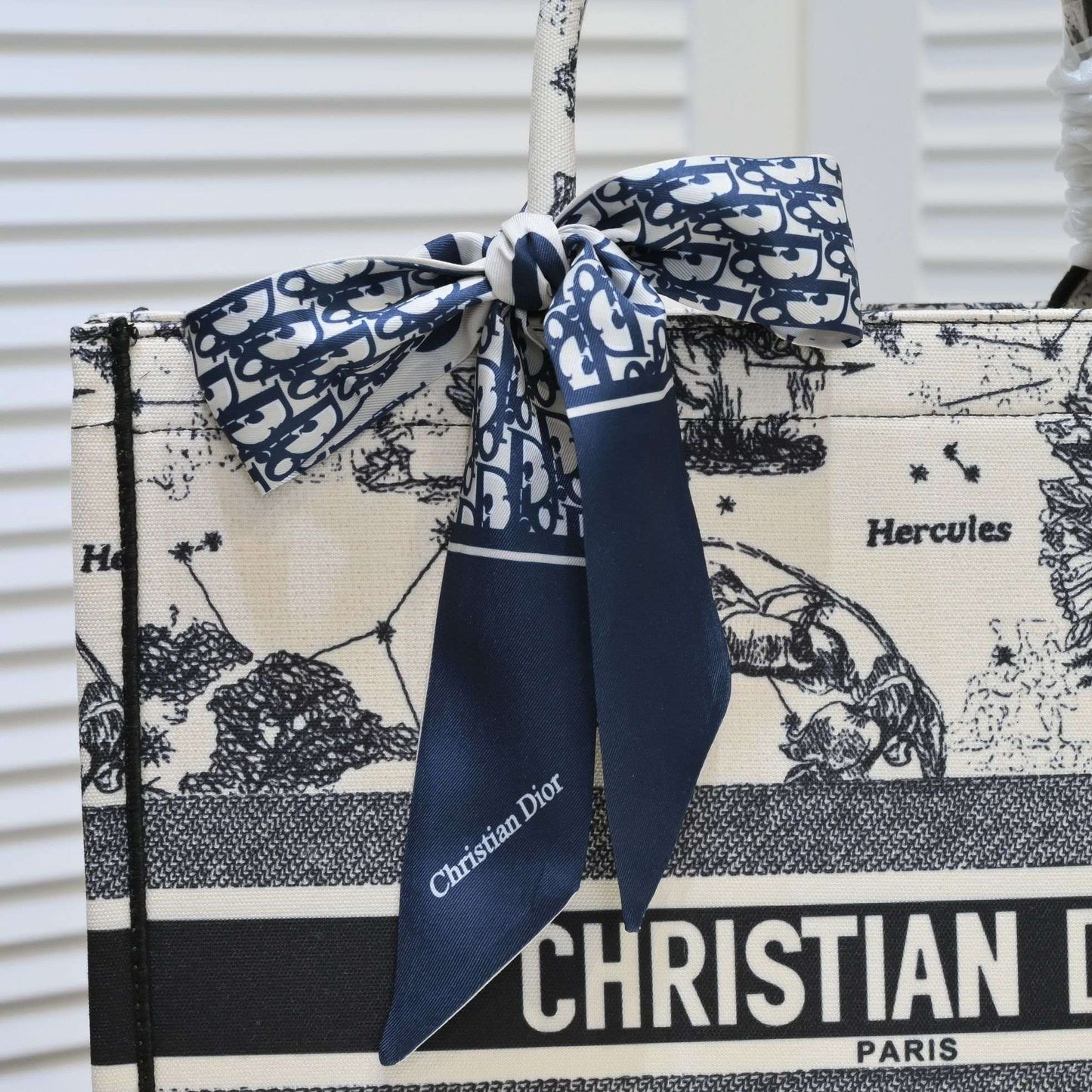 Dior Zodiac Embroidery