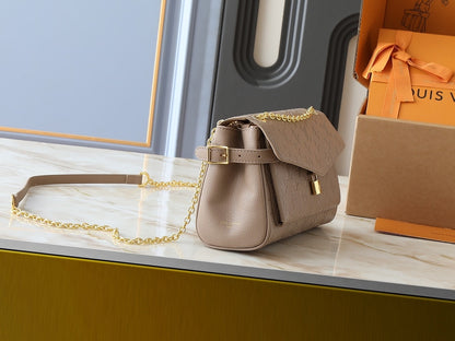 LOUIS VUITTON ANYTIME FLAP BAG TOURTERELLE GRAY 29CM M14973