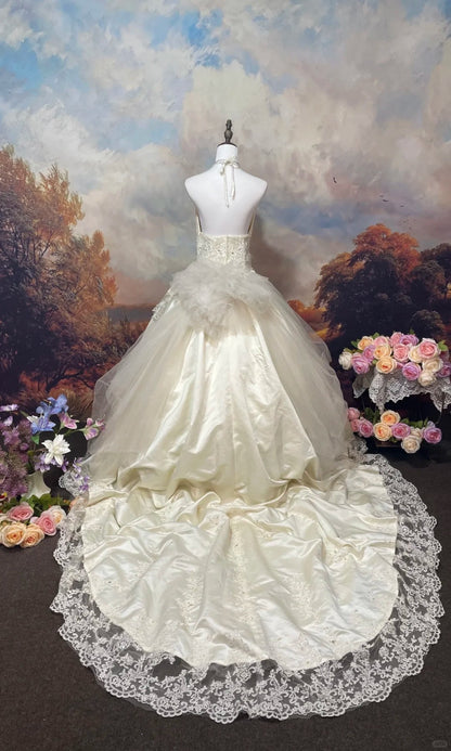 A Line Tulle Lace V Neck Wedding Dresses, Sleeveless Party Gowns  cg25564