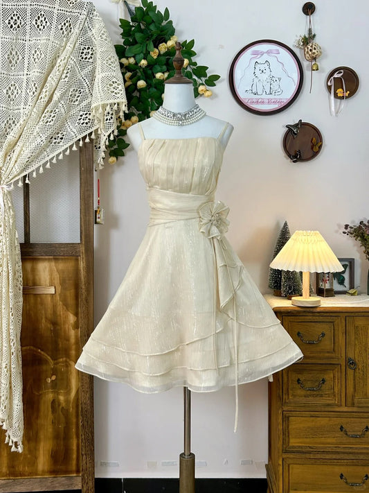 A Line Champagne Vintage Short Party Dress Cocktail Dresses Homecoming Dress     cg25801