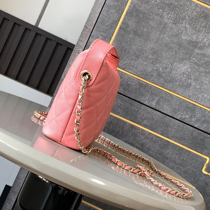 CHANEL Classic Chain Hobo