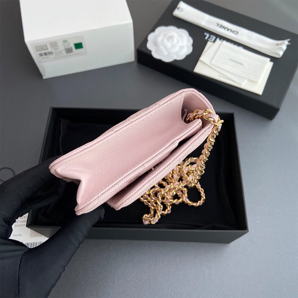 CHANEL Classic Wallet On Chain