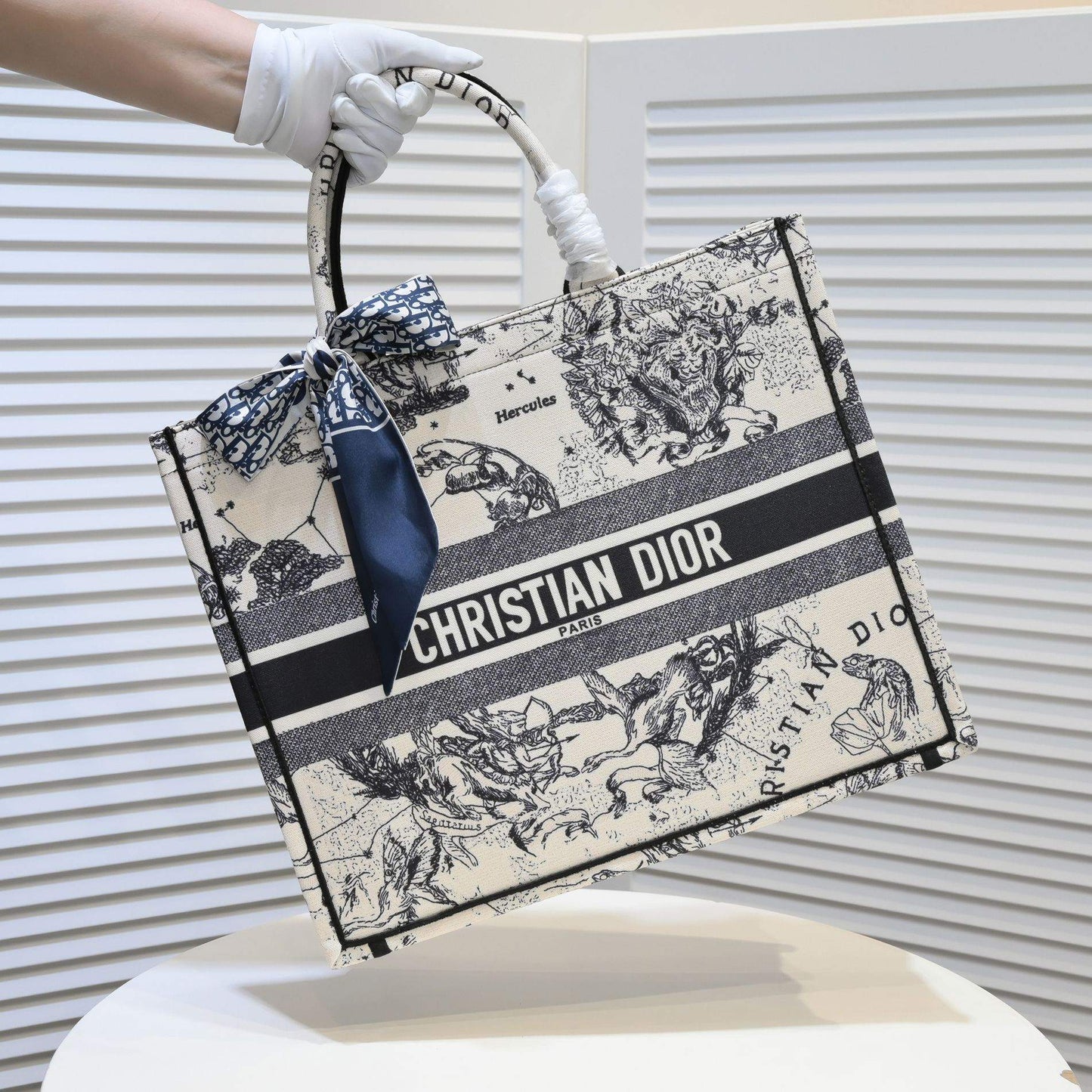 Dior Zodiac Embroidery