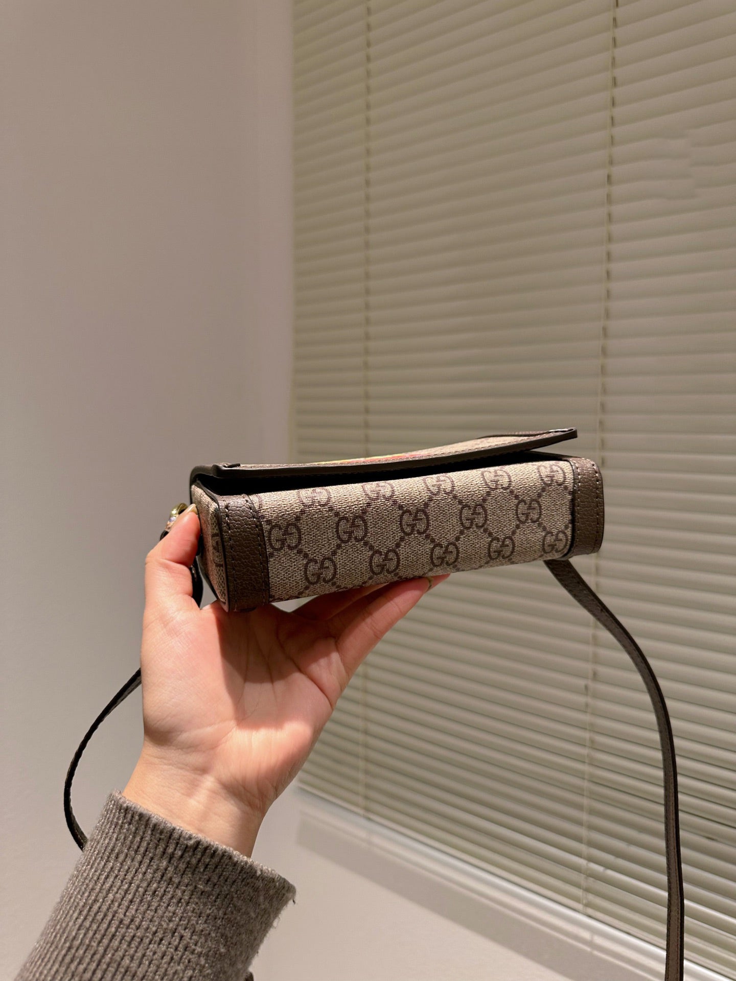 Gucci Pablo Delcielo GG700733 Bag