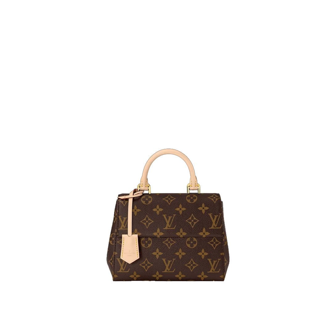 Louis Vuitton Cluny Mini M46055