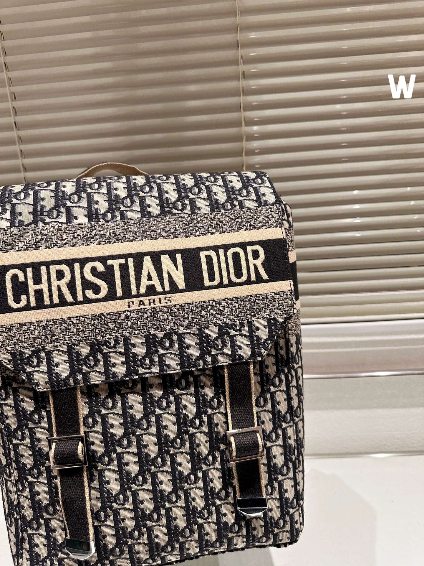 BALO Dior Backpack Blue Dior Oblique Embroidery