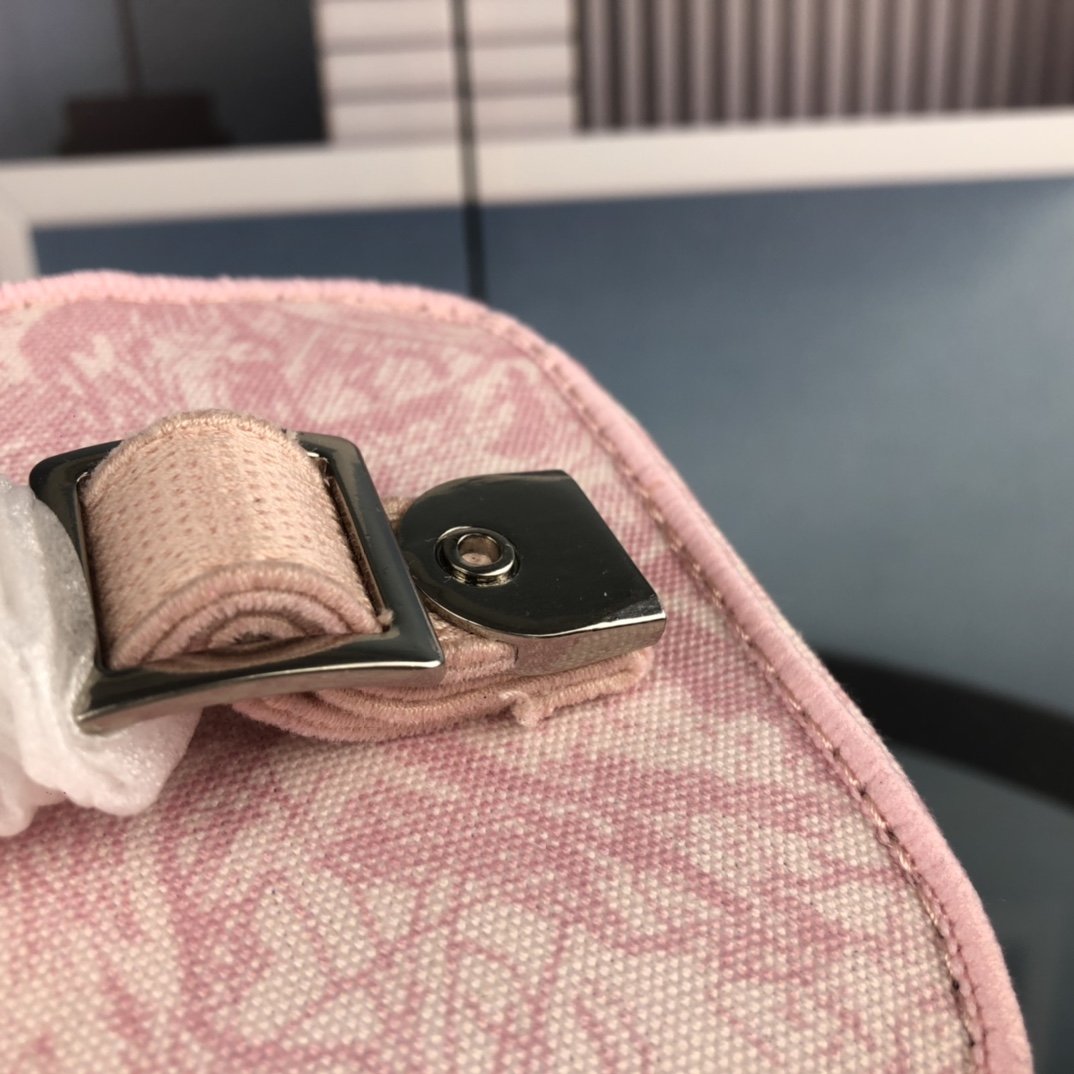 Dior Vanity Case