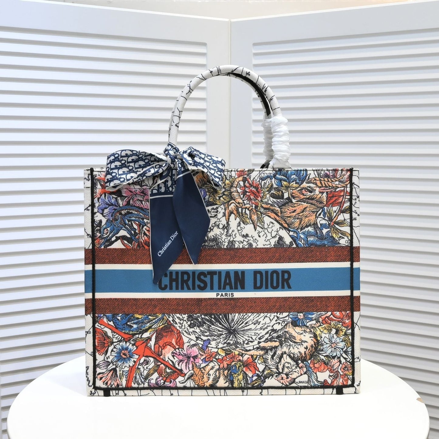 DIOR BOOK TOTE BAG