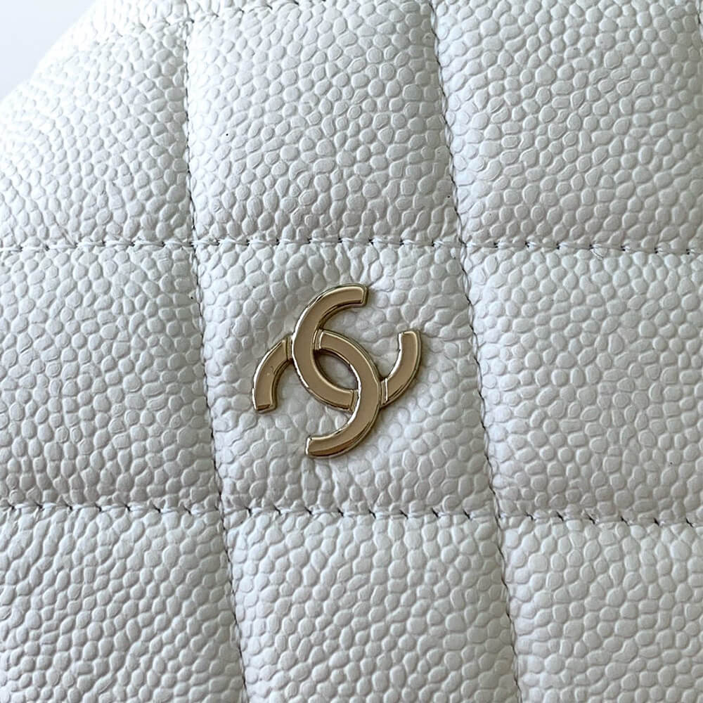 CHANEL Classic Chain Hobo