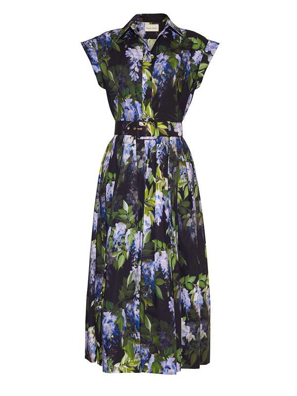 Elegant Printed Pleated Holiday Women's Dress