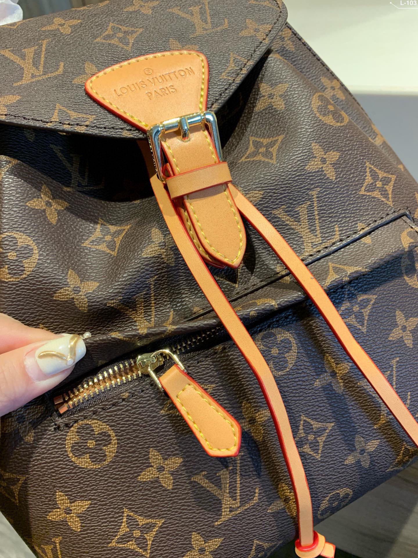 Louis Vuitton Backpack Montsouris Monogram