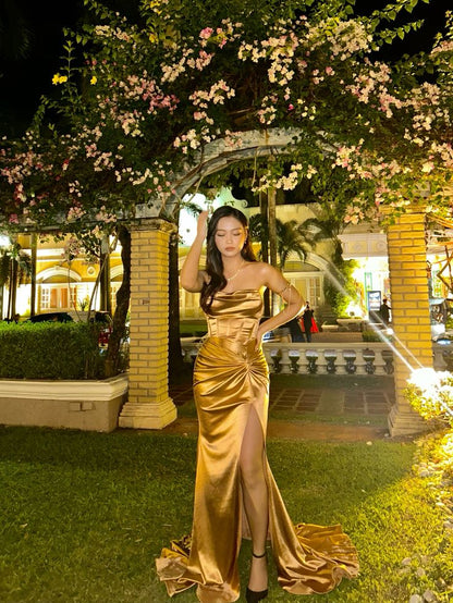 Gold Sleeveless Party Dress, Long Formal Dress       fg5596