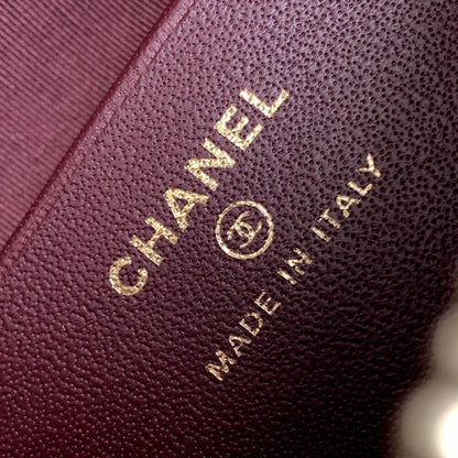 CHANEL Classic Chain Hobo