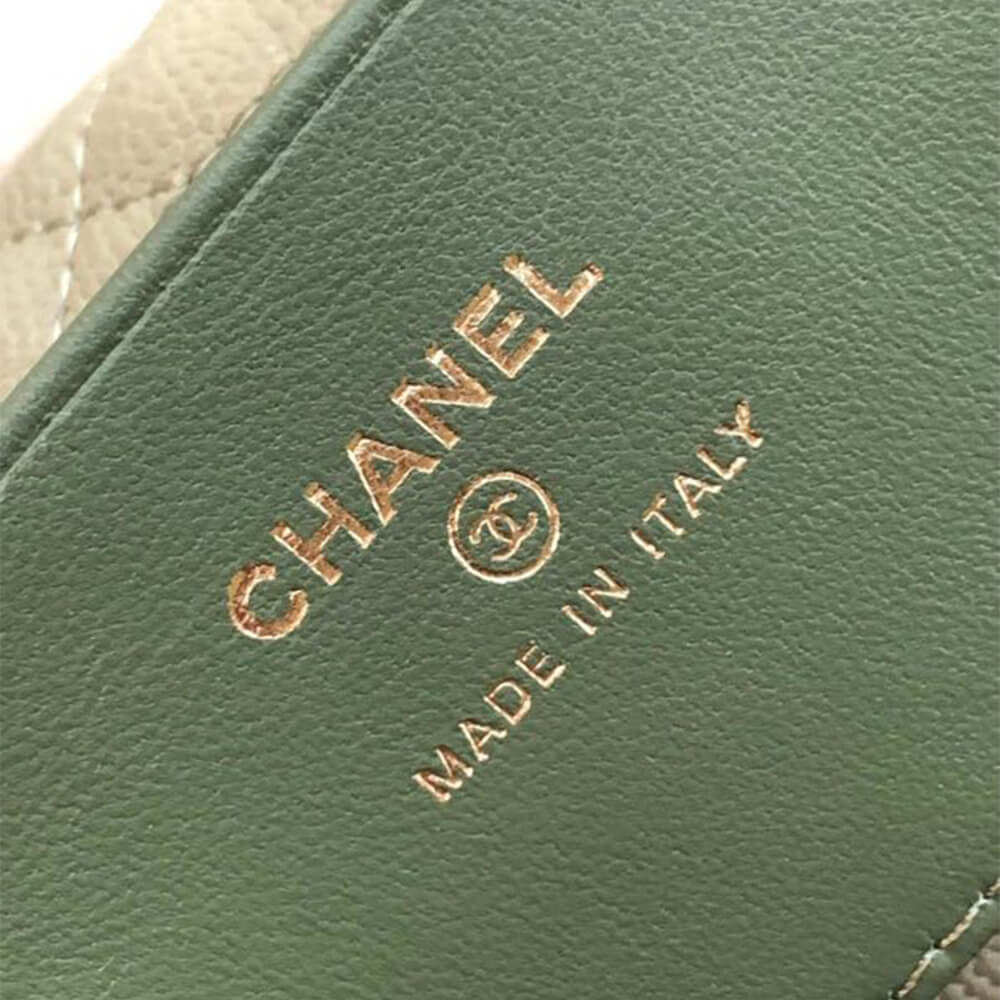 CHANEL Classic Chain Hobo