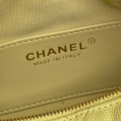 CHANEL Classic Hobo with Chain