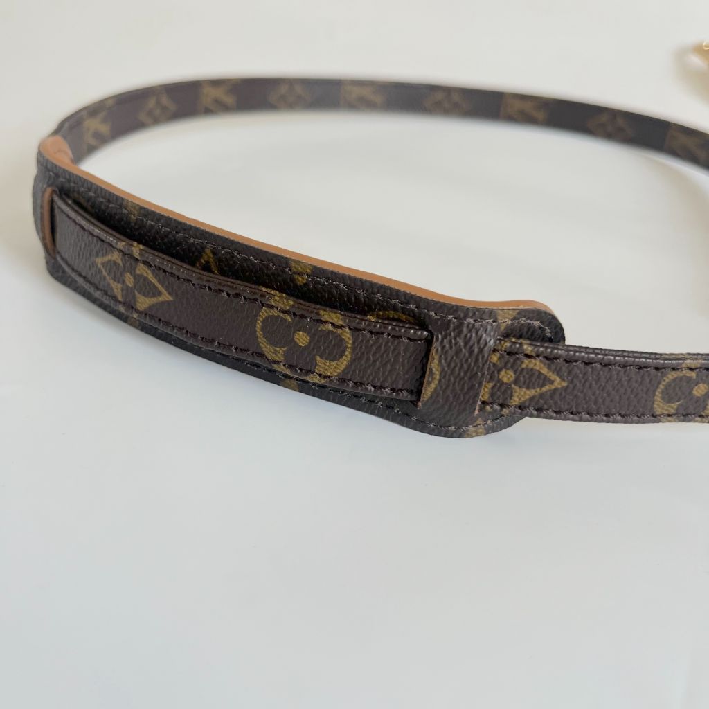 Louis Vuitton Brown Monogram Canvas Mini Speedy Shoulder Bag w Strap