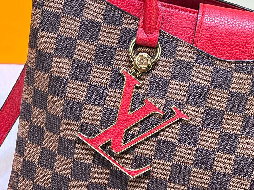 Louis Vuitton Damier Ebene Canvas Lv Riverside Tote