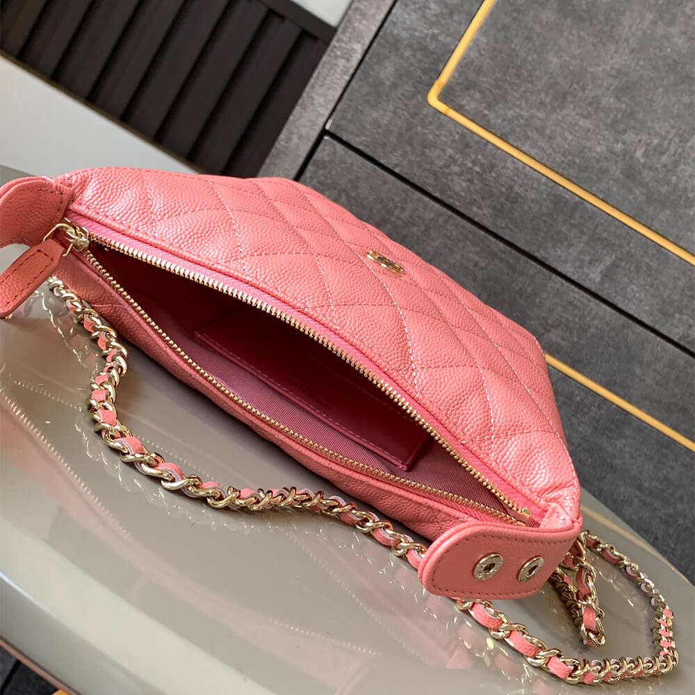 CHANEL Classic Chain Hobo