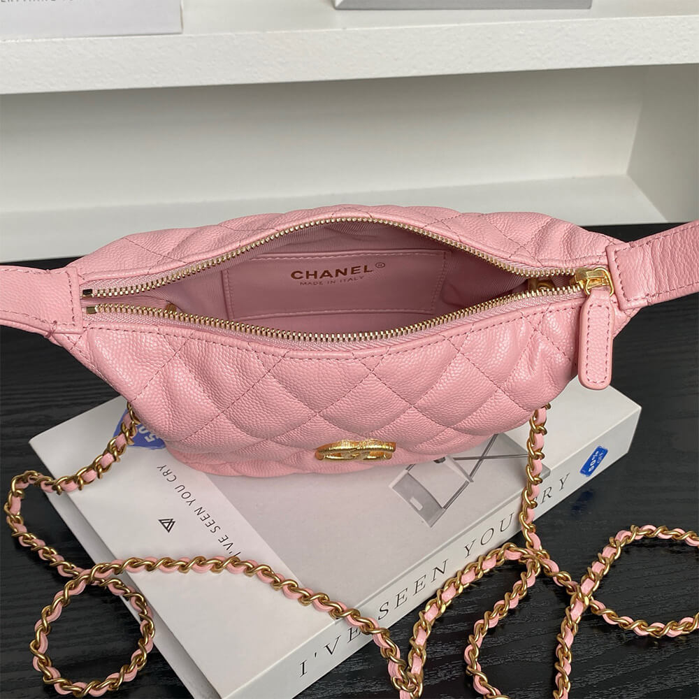 CHANEL Classic Hobo with Chain