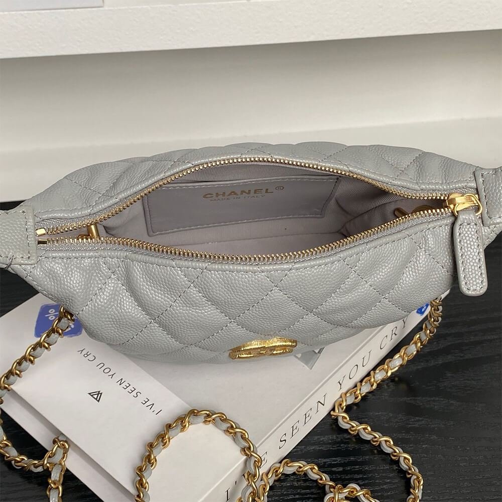 CHANEL Classic Hobo with Chain