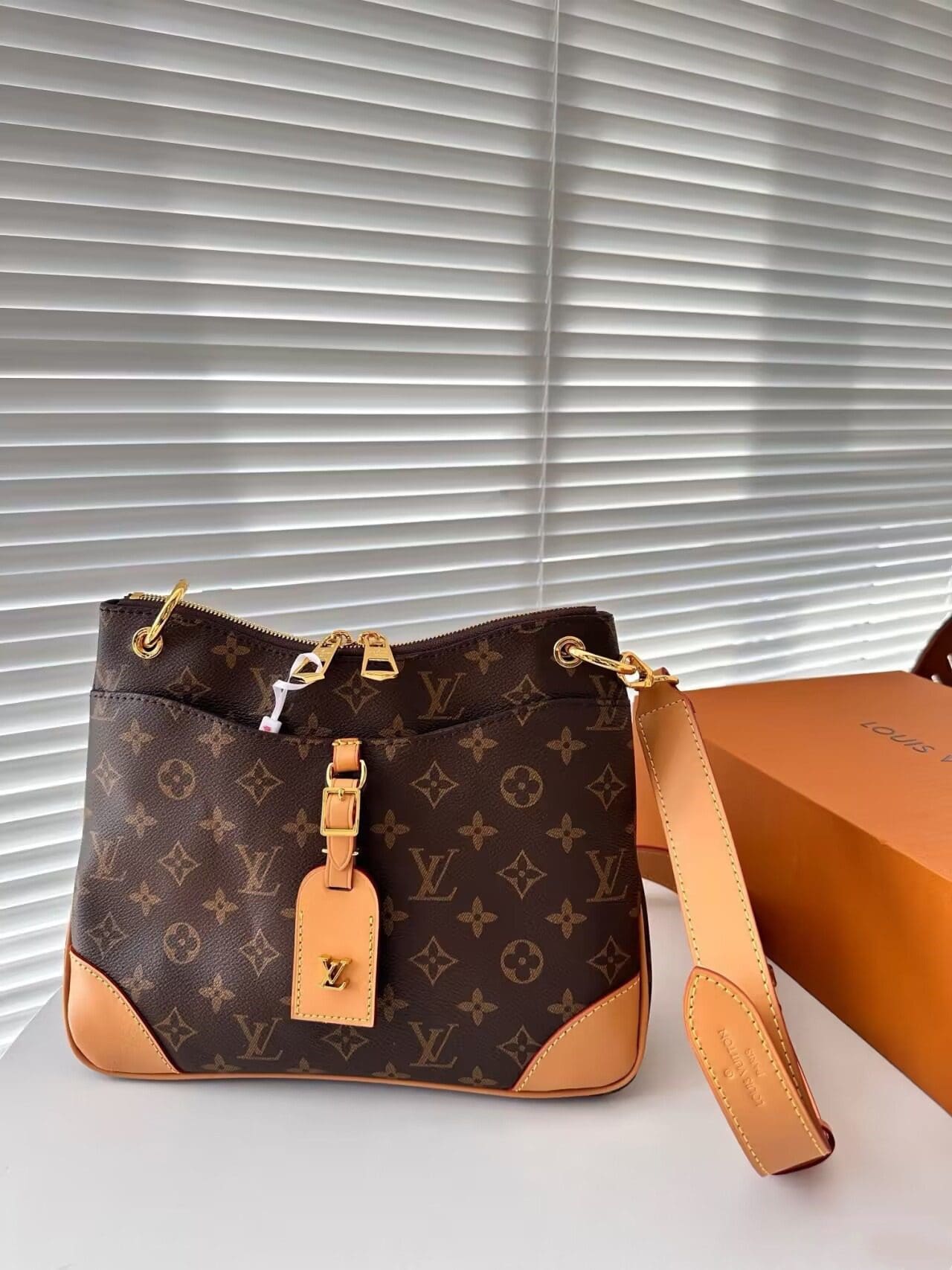 Louis Vuitton M45354 Odéon PM
