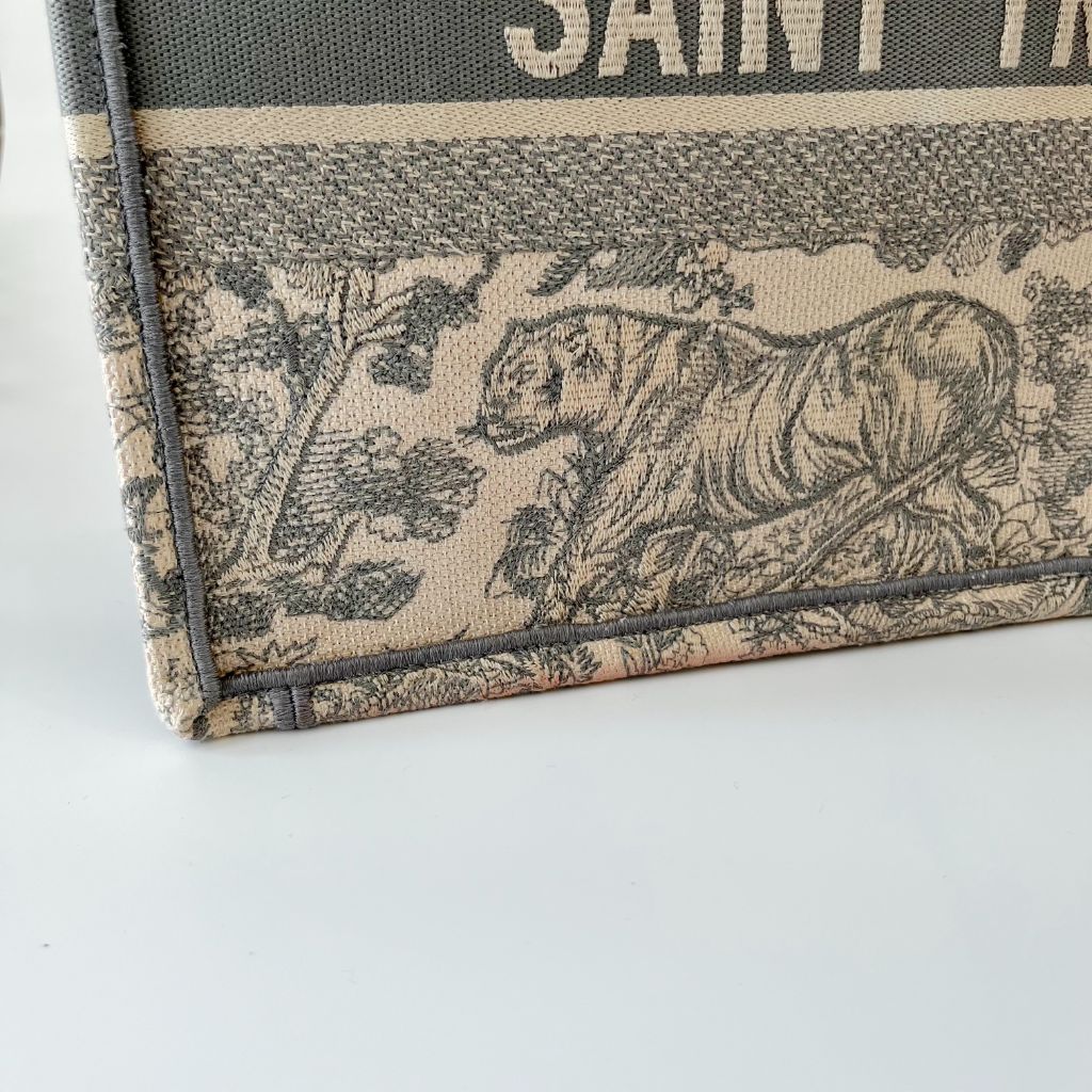 Dior Canvas Book Tote Medium Bag
