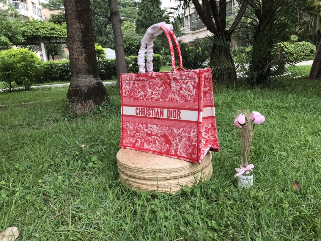 Christian Dior Medium Book Tote