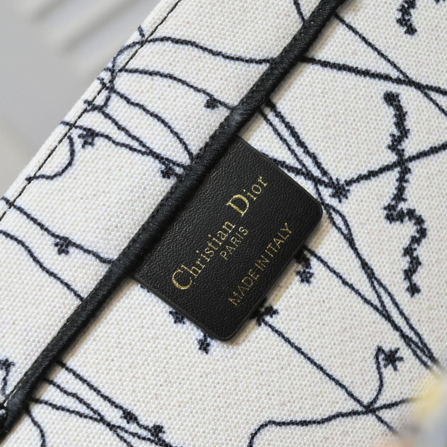 DIOR BOOK TOTE BAG