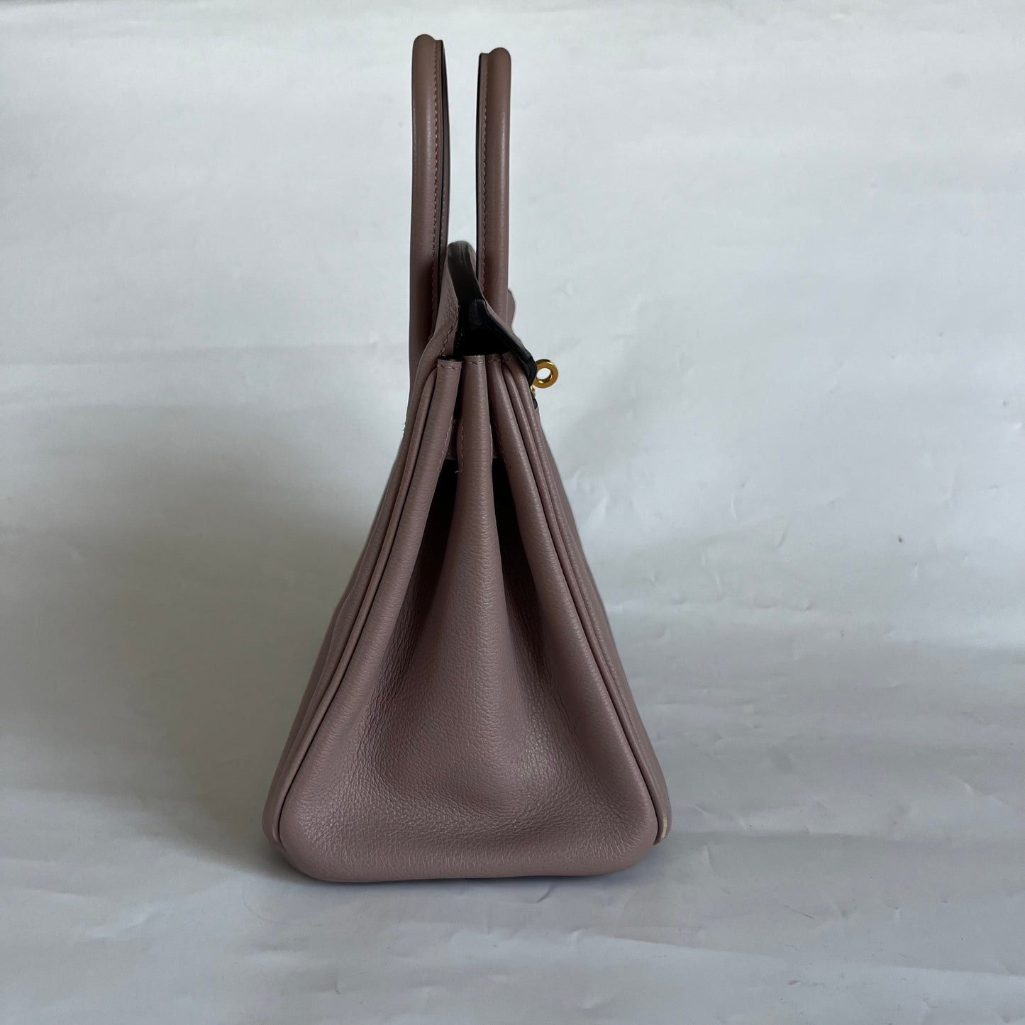 Hermès Glycine Evercolor Leather Gold Hardware Birkin 25 Bag