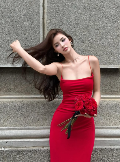 Sexy Red Prom Dress Party Gown SH1288