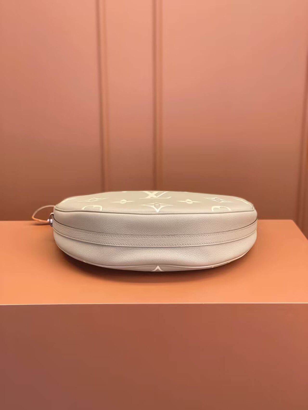 Louis Vuitton Loop Hobo M46738