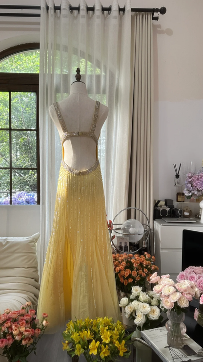 Light Yellow Gorgeous Shiny Fashion Elegant Exquisite Beaded Long Tulle Backless Fairy Ball Gown Evening Dress Birthday/Wedding Guest/Holiday Party Dress Prom Dress Valentine's Day Date Dress gh4034