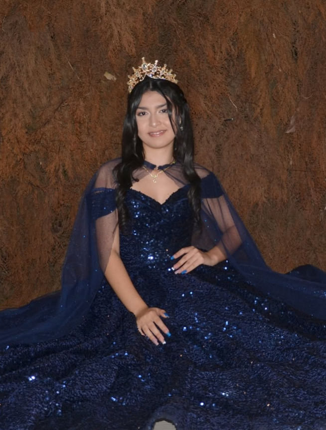 Shiny Royal Blue Ball Gown Off the Shoulder Sequin Sweet 16 Dress Party Gowns Quinceanera Dresses SH3559