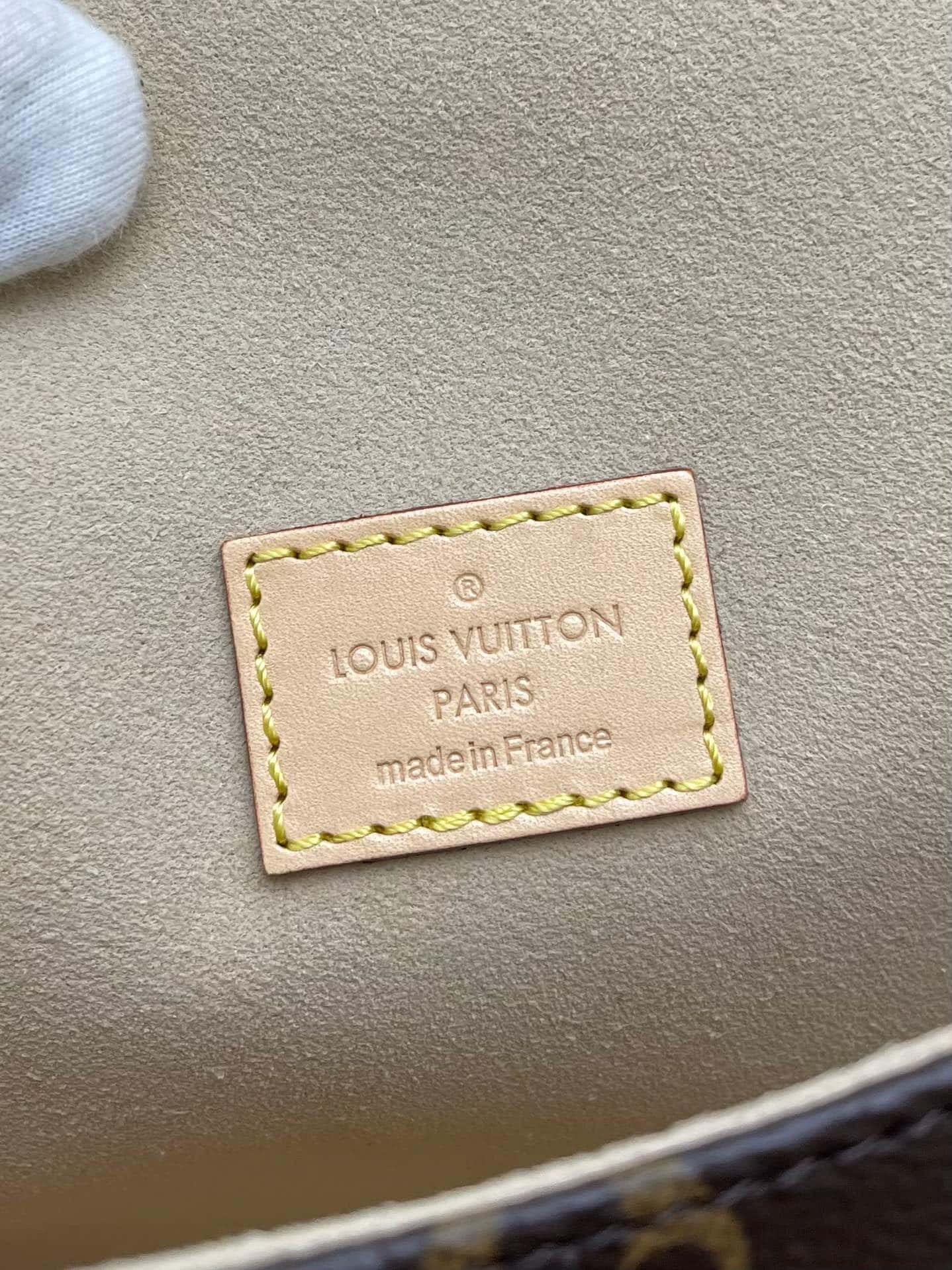 Louis Vuitton Monogram Saumur Handbag
