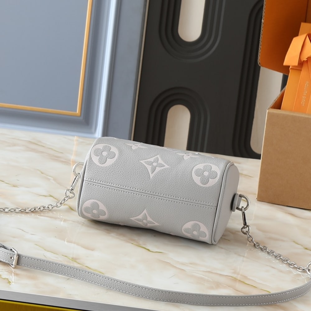 LOUIS VUITTON SPEEDY BANDOULIÈRE 20 BAG GRAY 20CM M14207