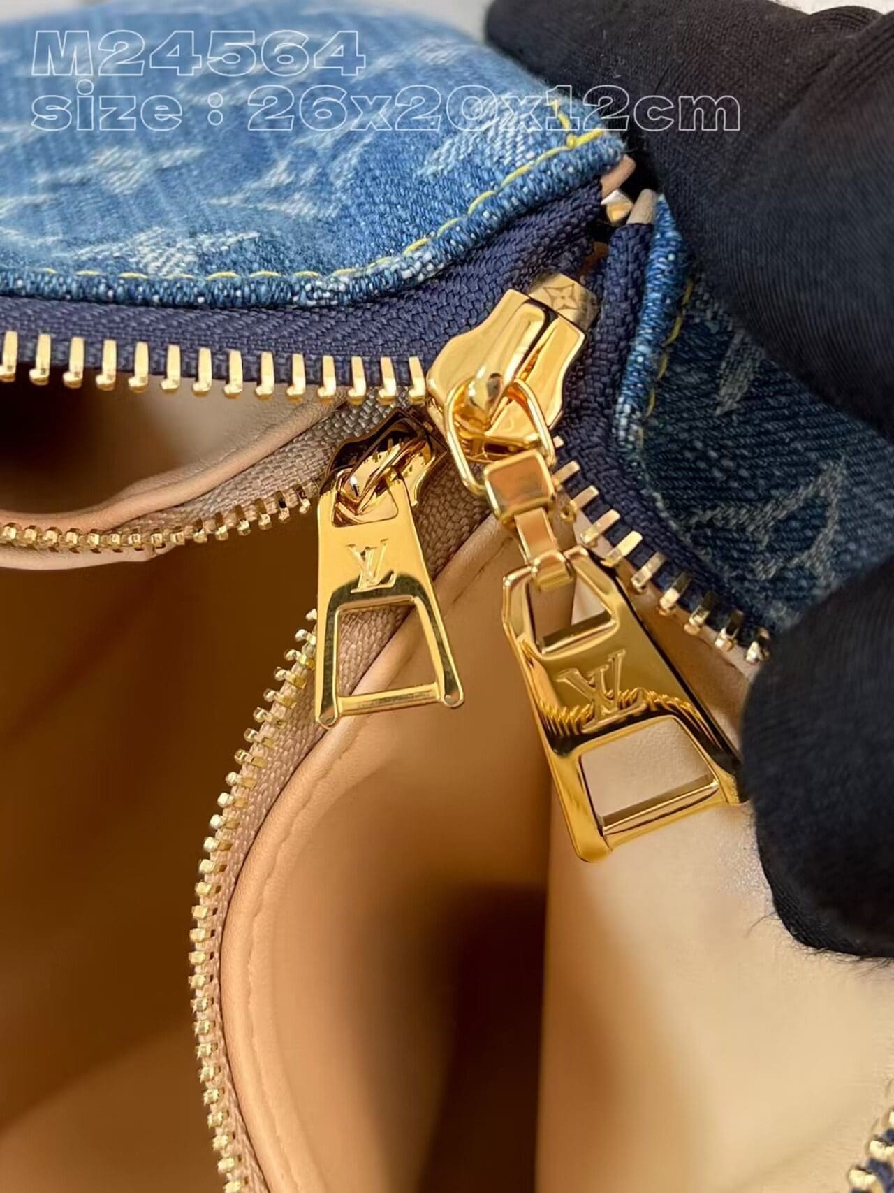 Louis Vuitton M24564 NEW Coussin PM