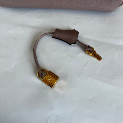 Hermès Glycine Evercolor Leather Gold Hardware Birkin 25 Bag