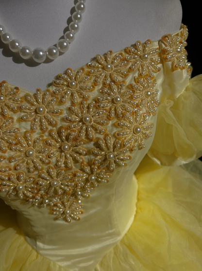 Pretty Ball Gown Square Neck Yellow Tulle Long Floral Quinceanera Dress Formal Gowns Sweet 17 Dresses Vestido De 15 Anos Sweet 16 Dress DH2683