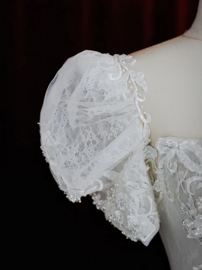 Glitter Wedding Dresses Ball Gown Sweetheart Short Sleeves Lace Wedding Dresses Bridal Gowns DP1491