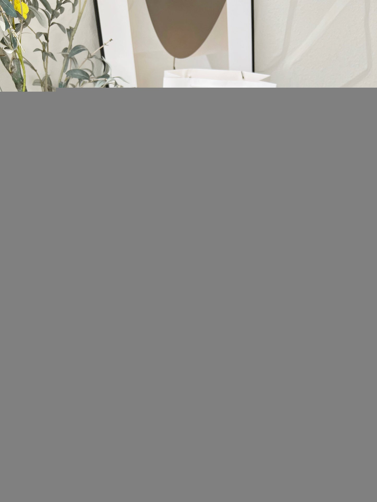 DIOR DIORAMOUR BALLET FLAT BLACK KDB918CQC S900