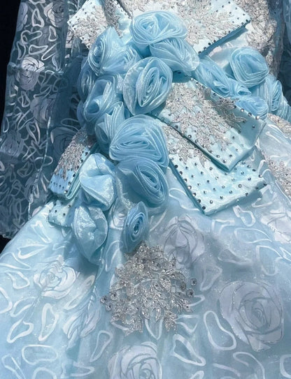 Sky Blue Mermaid Spaghetti Straps Organza Diamond Long Prom Dress Lace Floral Evening Gown ED01638