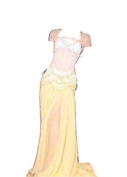 Glam Purple Sheath Tulle Beaded Sleeves  Long Prom Dresses ED02081