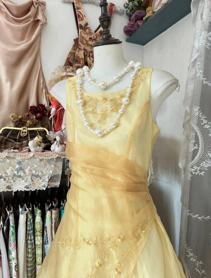Glam Butter Yellow Evening Gowns Round Neck A-Line Tulle Party Dress ED02441