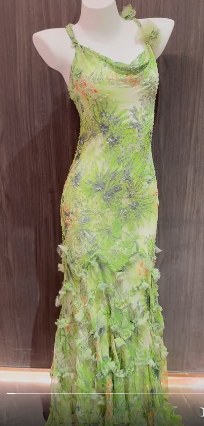 Gorgeous Green Spaghetti Straps Printed Chiffon Mermaid Beading Long Prom Dresses Vintage Evening Gowns ED02564